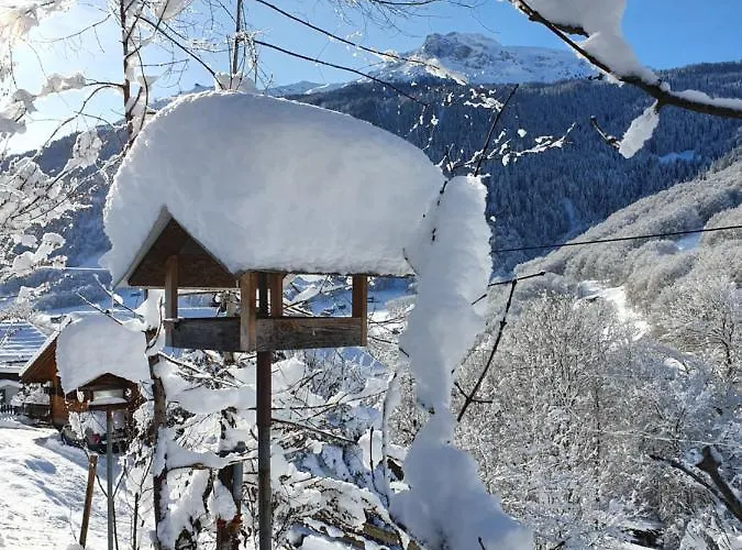 Chalet Rustico Pagrueeg