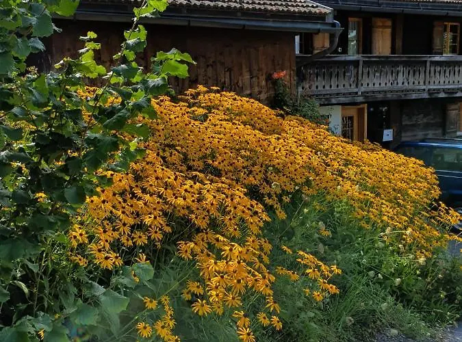 Dağ evi Rustico Pagrueeg *