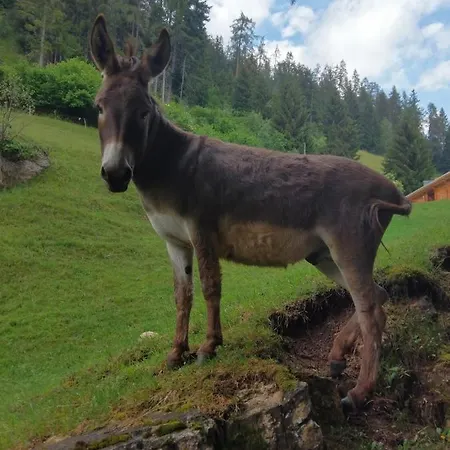 Pagrueeg * Klosters-Serneus